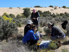 Collecting plant samples, Bush Blitz 2017