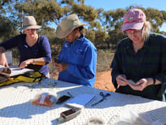 Indigenous Ranger working with Bush Blitz Team collecting and identifying Plant samples
