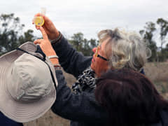 Trying to identify a spider, Bush Blitz 2017