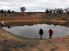 Bush Blitz Team looking for water insects at ground tank, Mungo National Park 2017