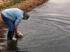 Water sample collection, Bush Blitz 2017