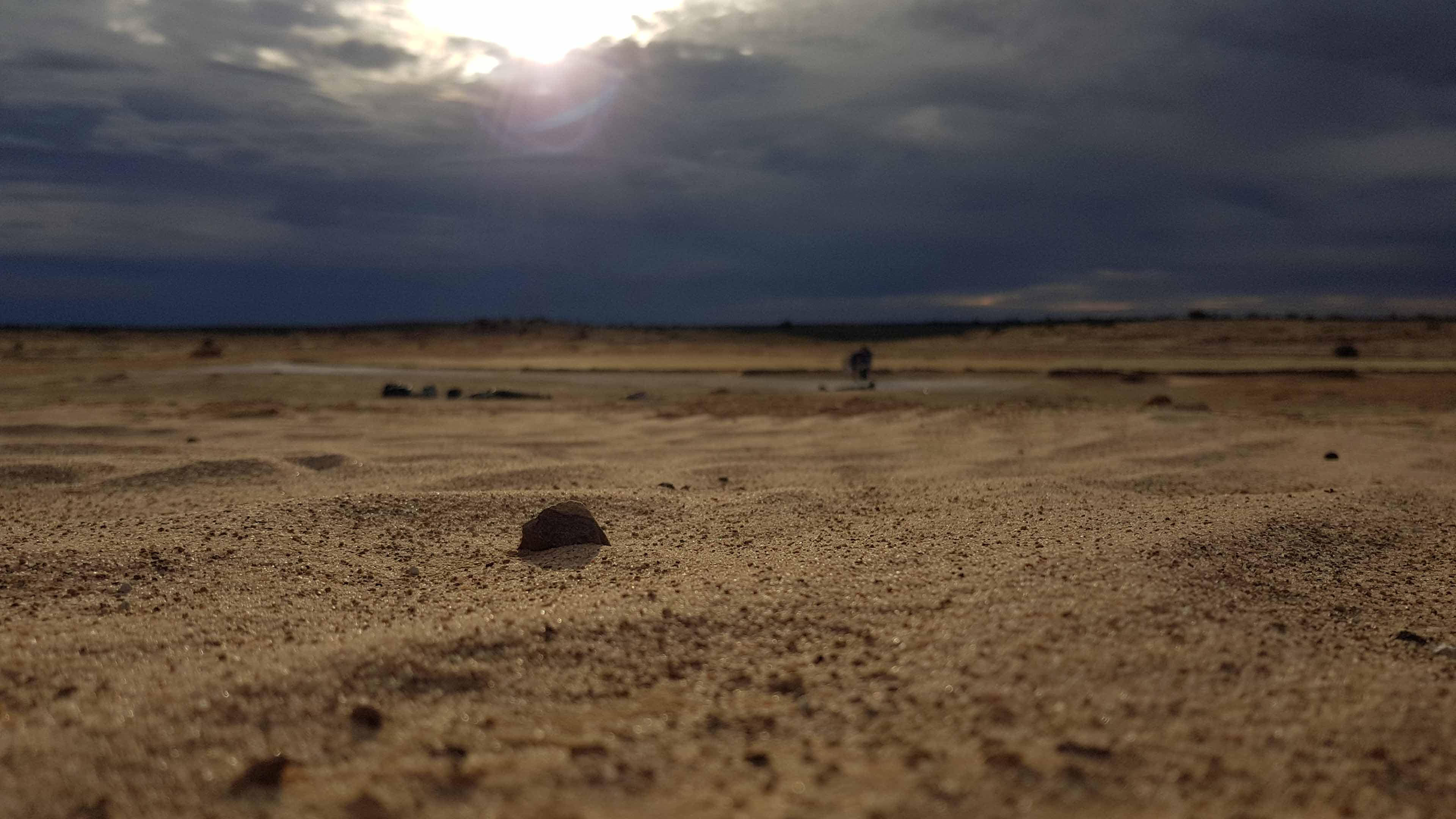Stone tool being uncovered by the winds on the ancient dunes.