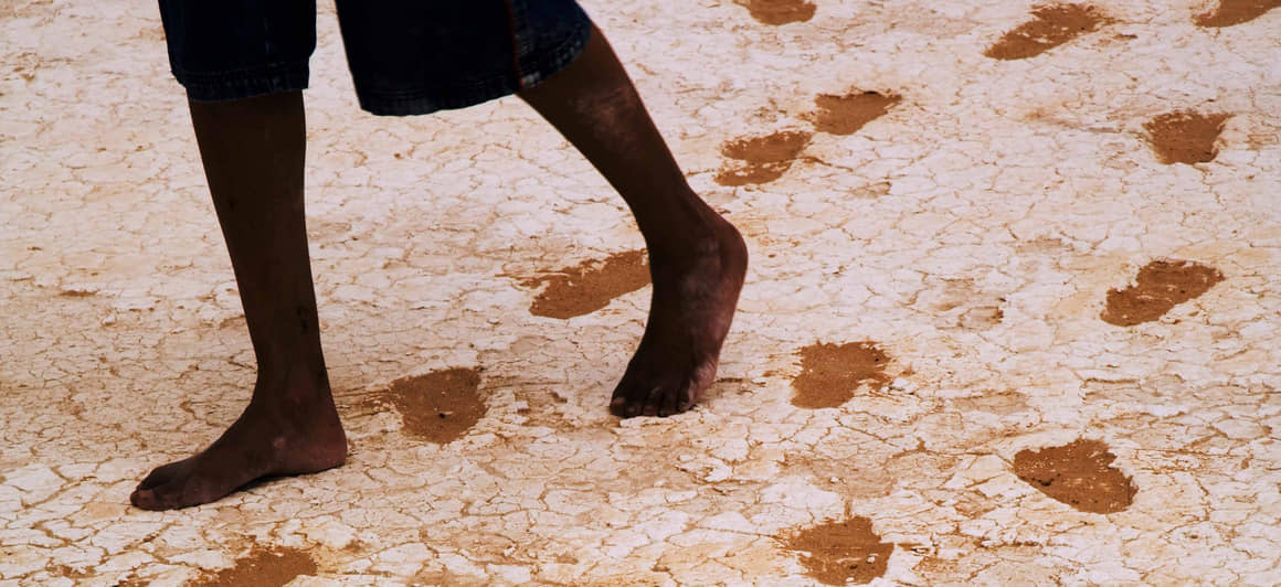 Fossil Trackway Site