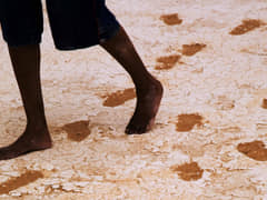Walking with the Ancestors, community member inspecting the site prior to reburial (Image Courtesy Michael Amendolia)