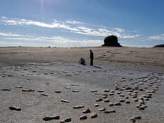 Short term conservation of site. Sand filled stockings placed on every footprint to stop sand abrasion from wind blowing across the site. (Image from NPWS)