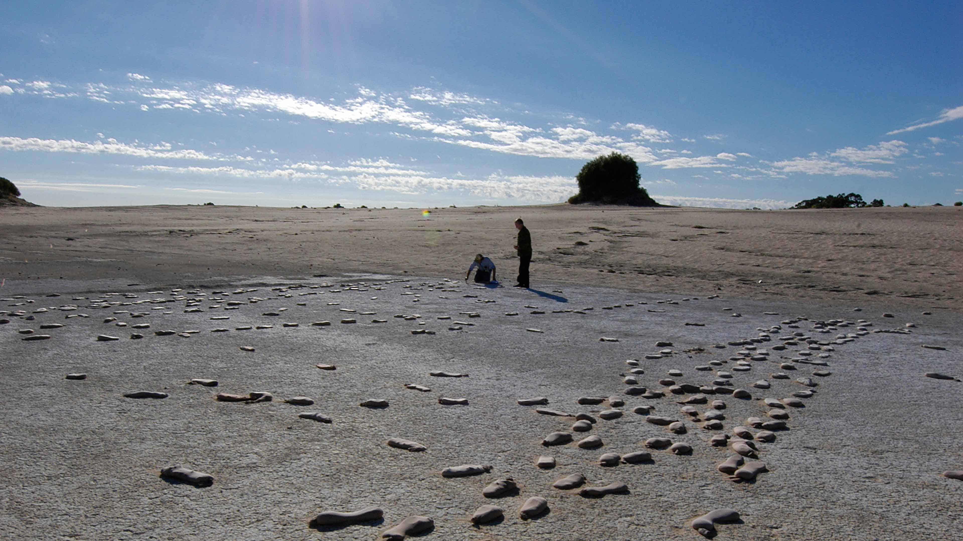 Short term conservation of site. Sand filled stockings placed on every footprint to stop sand abrasion from wind blowing across the site. (Image from NPWS) 