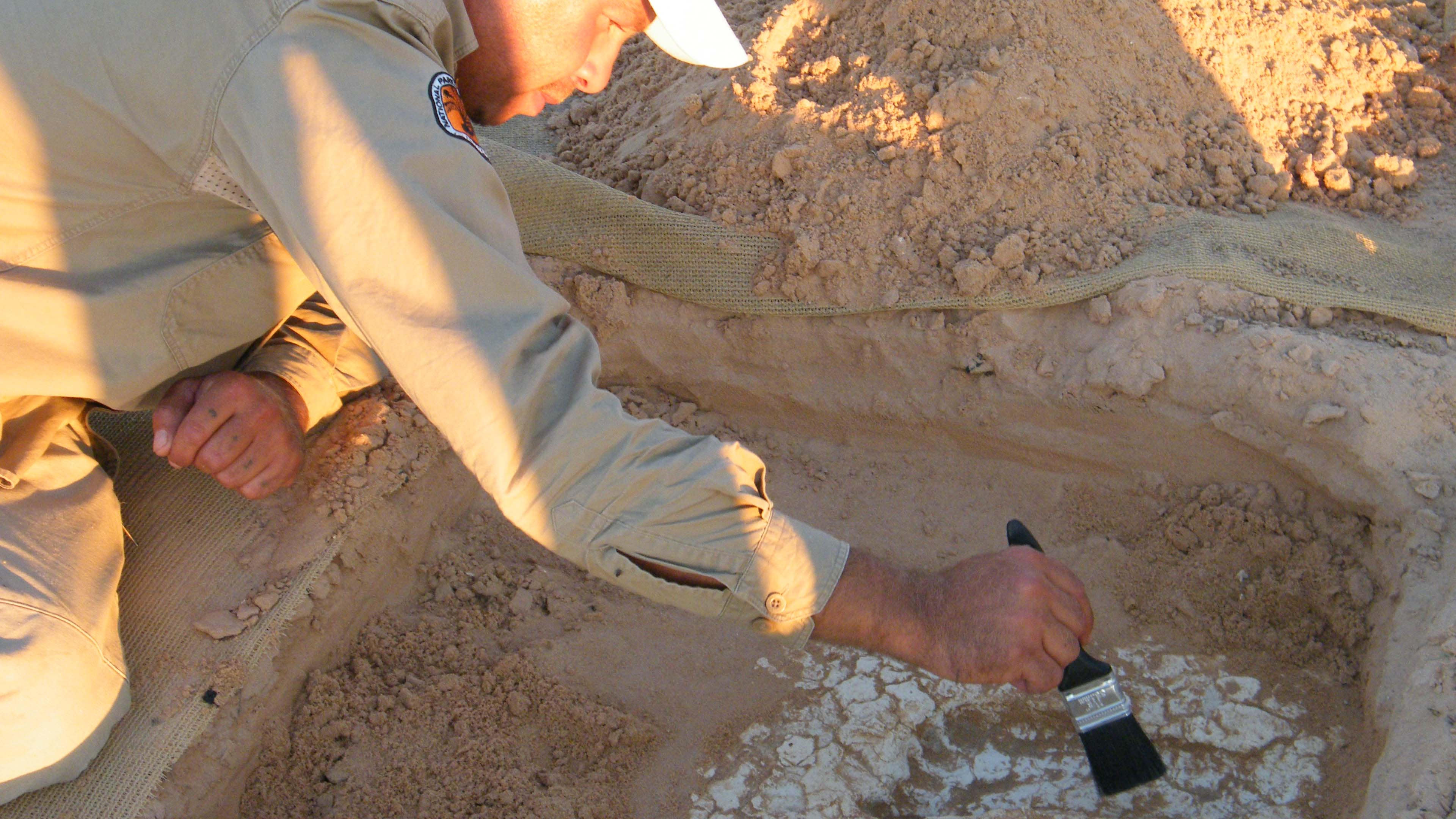 Excavated footprint for monitoring. (Image from NPWS)