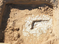 Excavation of a footprint to check if conservation of site is working. (Image from NPWS)