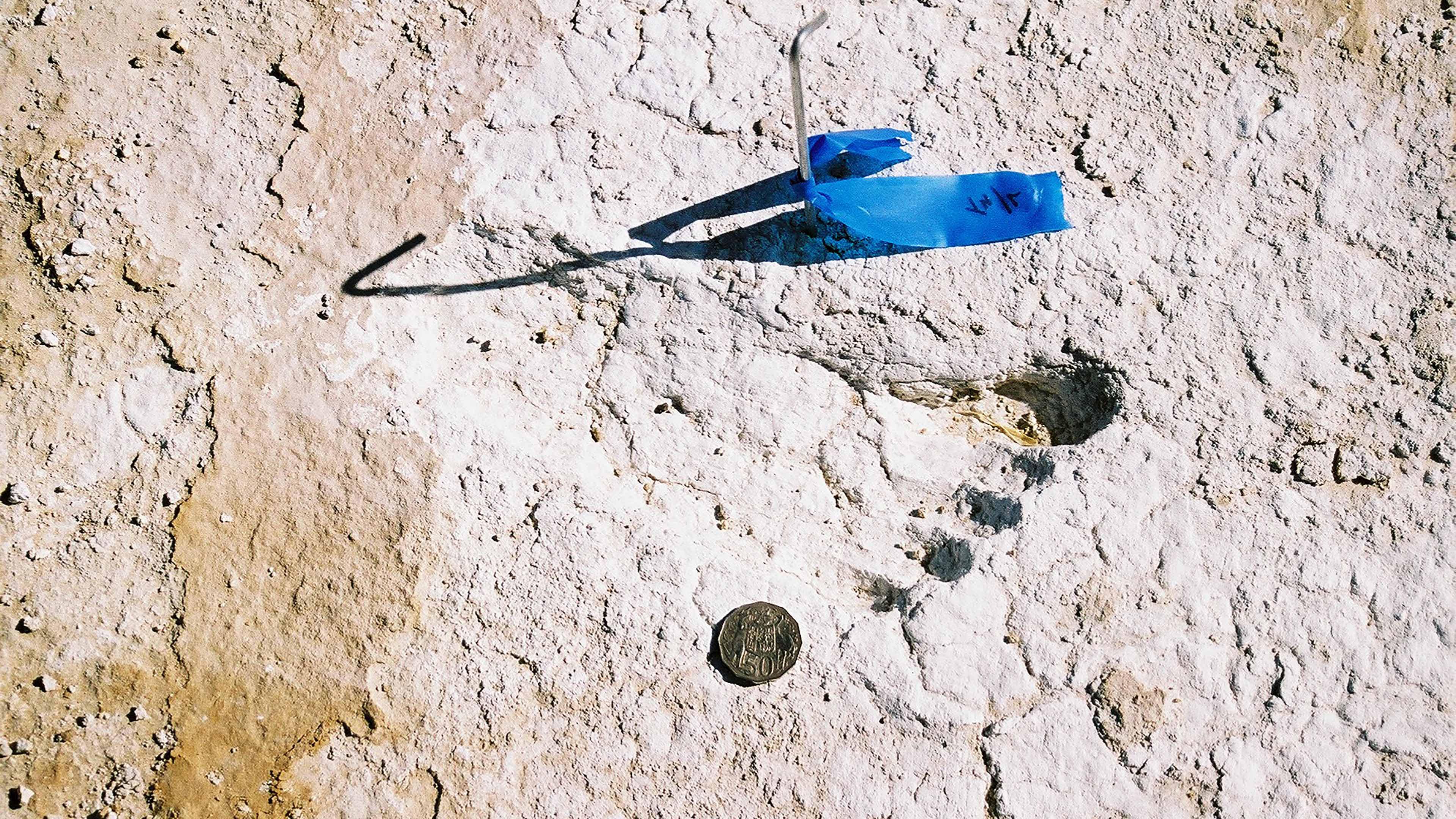 Detailed close up of a 20, 000 year old foot print (Image from NPWS)