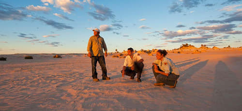 Book a Discovery Tour