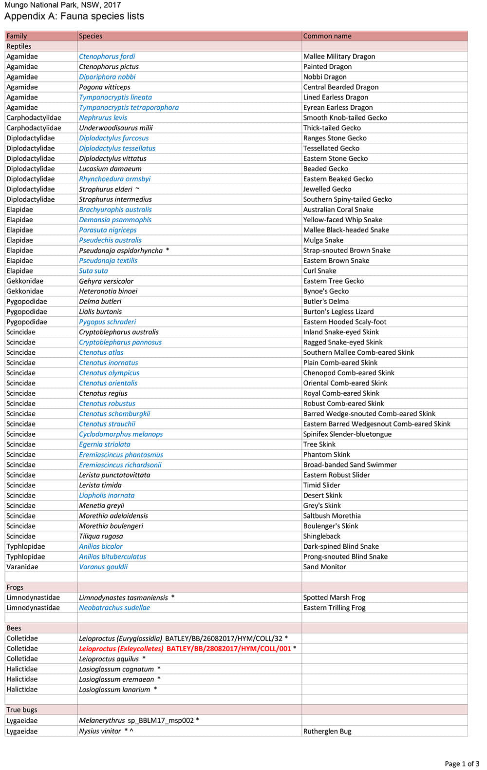 Bushblitz Report - Fauna